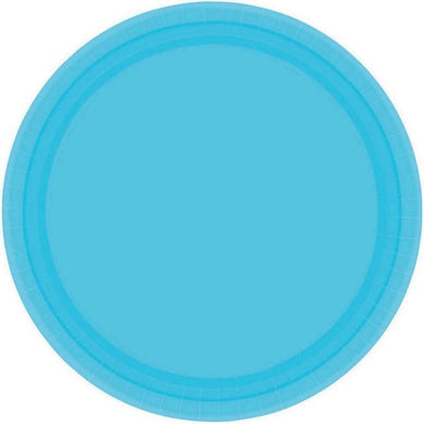 Paper Plate